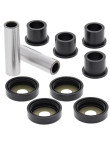 Kit de Rolamentos e Casquilhos dos Triângulos ALL BALLS YFM 250 350 660 700 Raptor | YFZ 450 Banshee