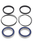 Kit de Rolamentos e Retentores do Eje ALL BALLS TRX 400 300