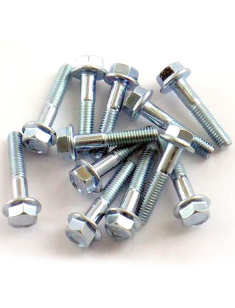 Kit de parafusos para aros Goldspeed PC