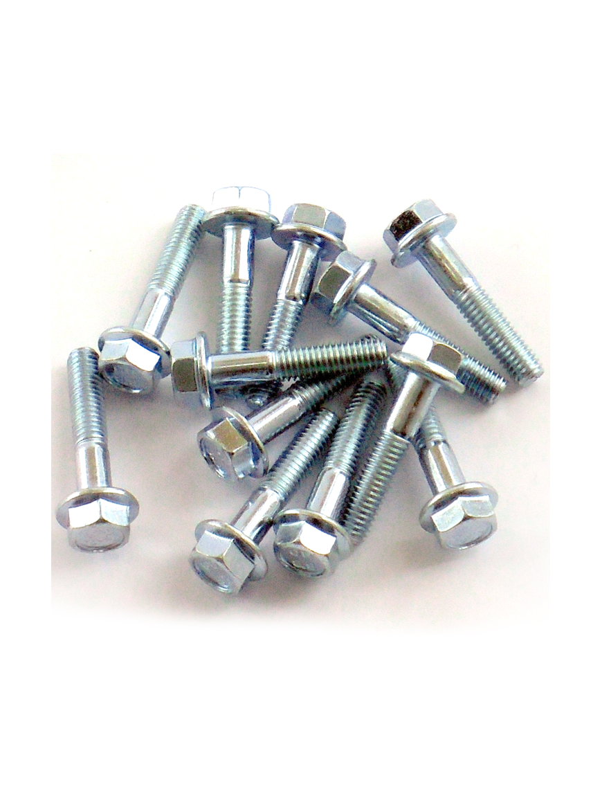 Kit de parafusos para aros Goldspeed PC